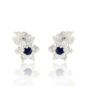 Σκουλαρίκια 18Κ EAR-SES-1033-1
