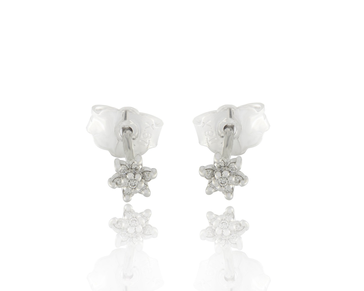 Earrings EAR-R-2417-1