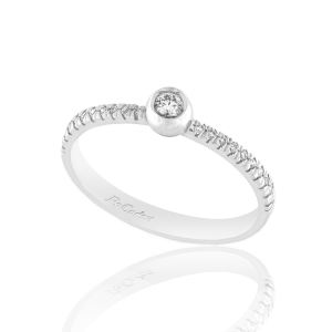 Ring RΙ-2355-8