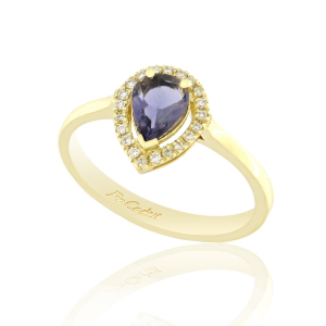 Ring RI-2470-1
