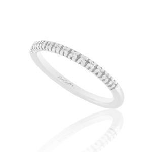 Ring RI-351