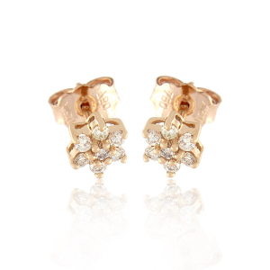 Earrings EAR-420