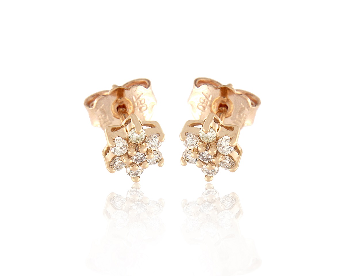 Earrings EAR-420