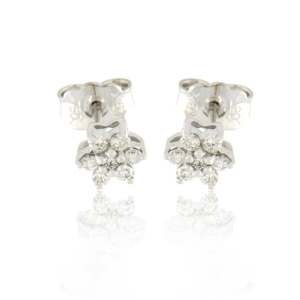 Earrings EAR-420
