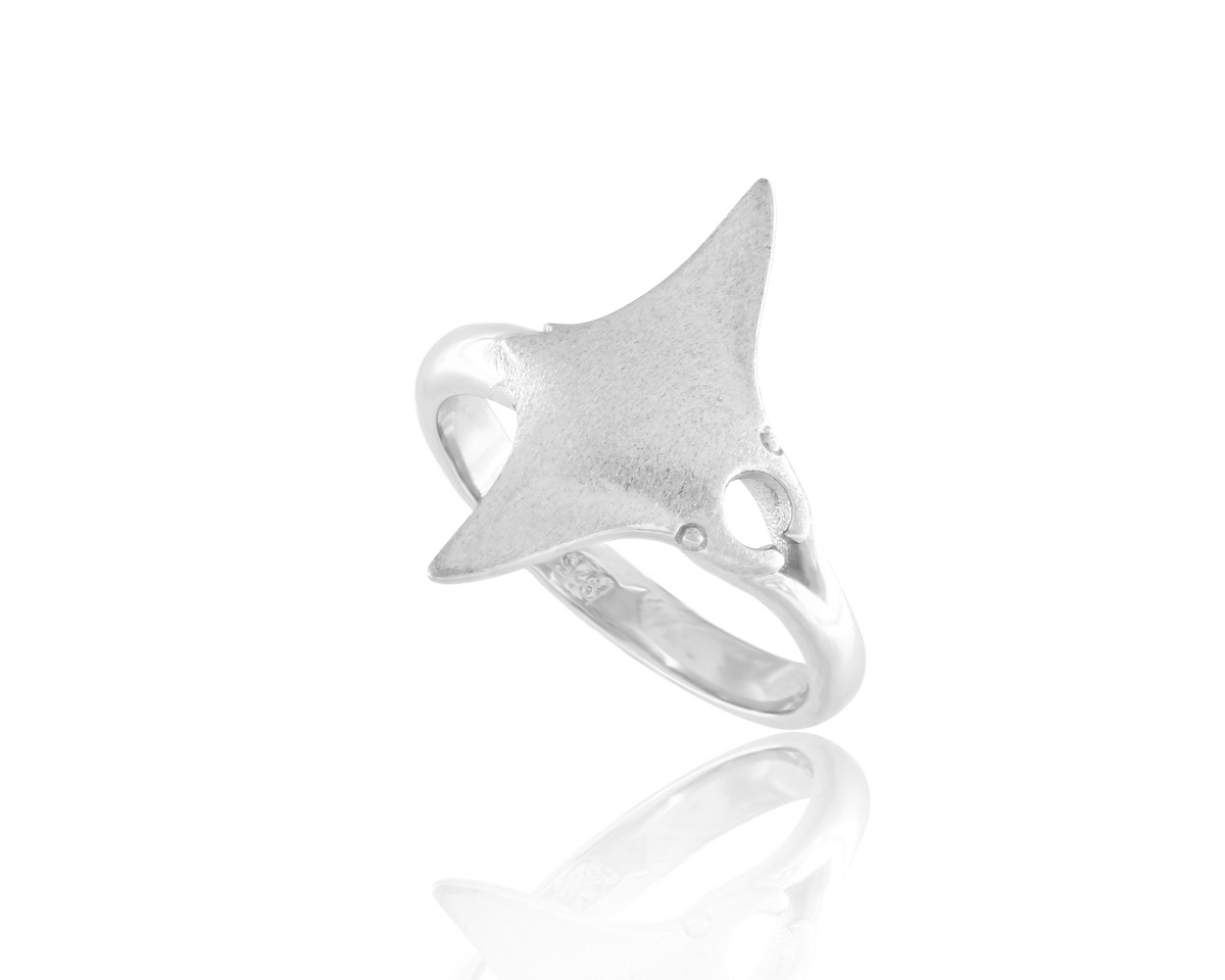 Aegean ring RI-AEGEAN-2