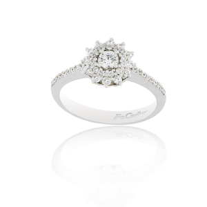 Ring RI-2416