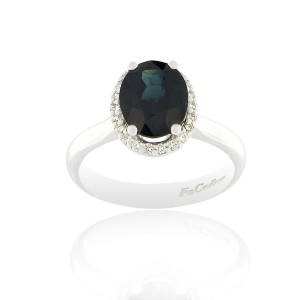 Ring RI-DIF-100