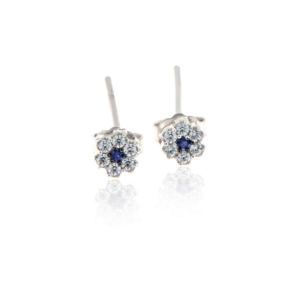 Earrings EAR-S-000239