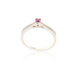 Ring RI-2297-7