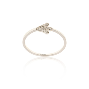 Ring RI-2214