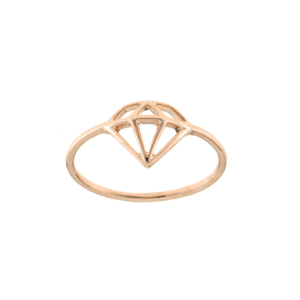 Ring RI-S-000489