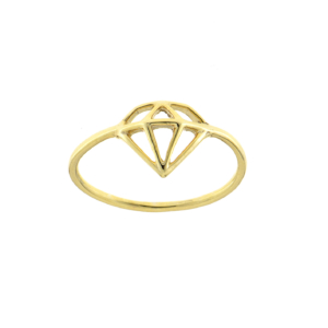 Ring RI-S-000489