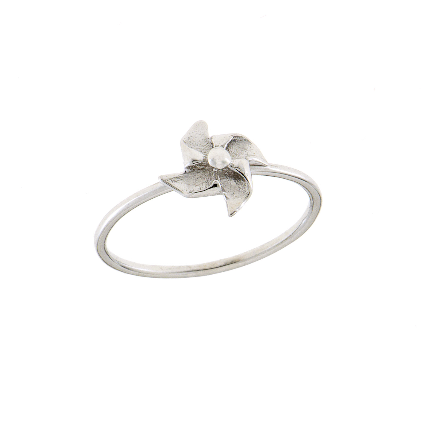 Ring RI-S-000488