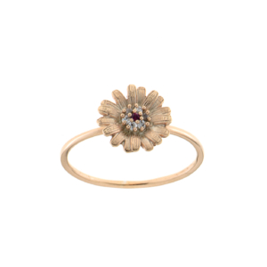 Ring RI-S-000487