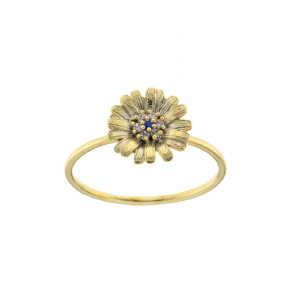 Ring RI-S-000487