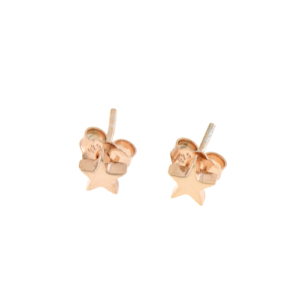 Earrings 14K EAR-S-000481P