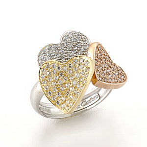 Ring RI-000310