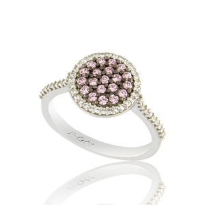 Ring RI-2489