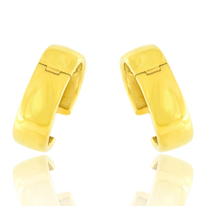 NEXUS Earrings ENXS-32000