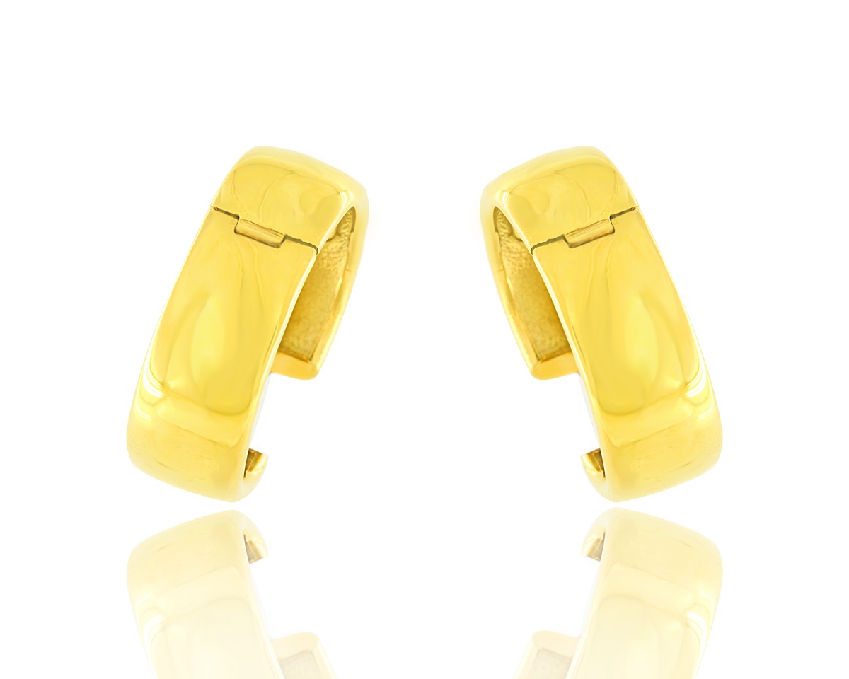 NEXUS Earrings ENXS-32000
