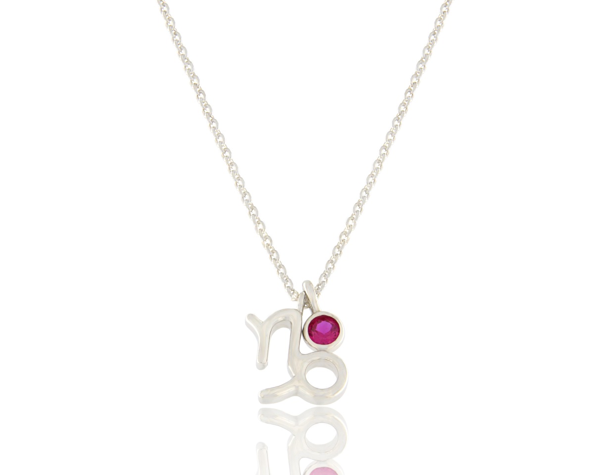 Pendant 14K ZODIAC CAPRICORN